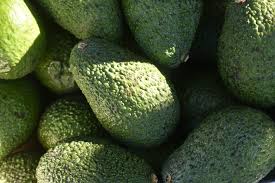 AVOCADO.jpeg
