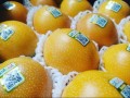 granadilla2.jpeg
