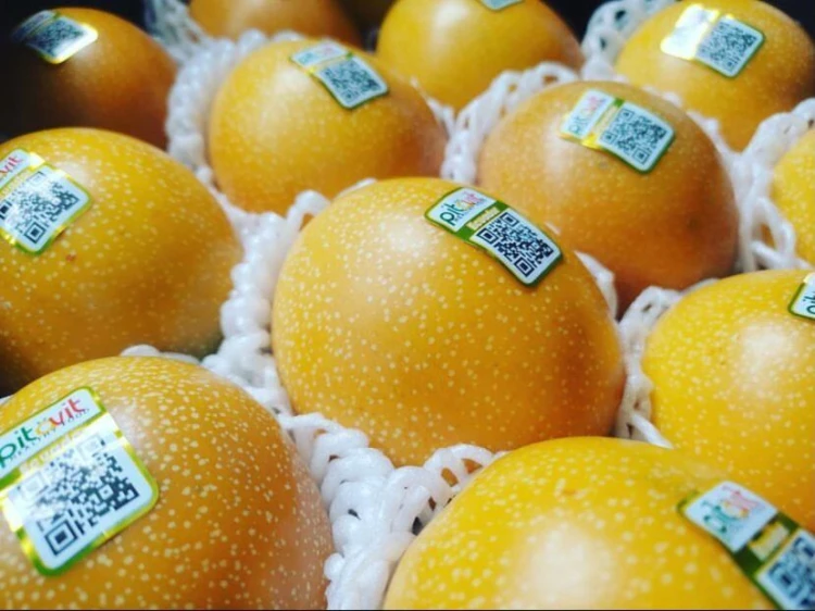 granadilla2.jpeg