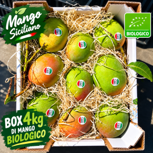 Mango sycylijskie Kensington BOX 4kg 100% BIO