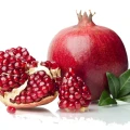 granat acco.webp