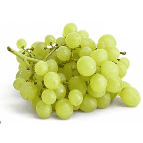 Untitled design - 2025-07-09T133227.227.png