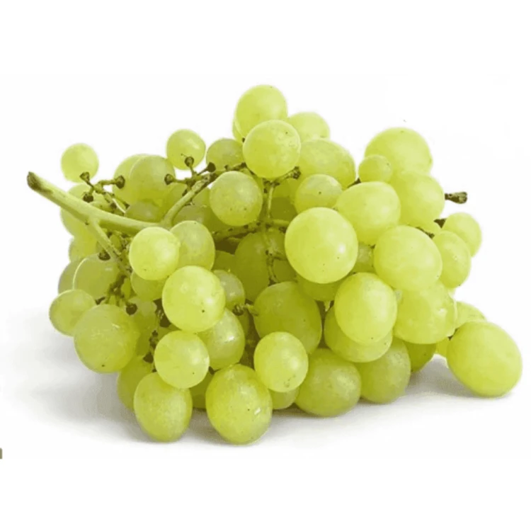 Untitled design - 2025-07-09T133227.227.png