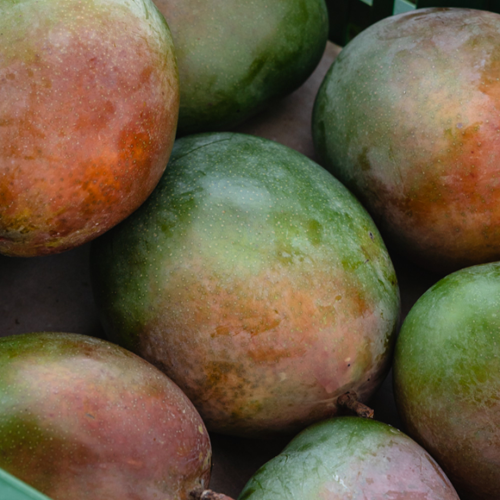 Untitled design-413.png